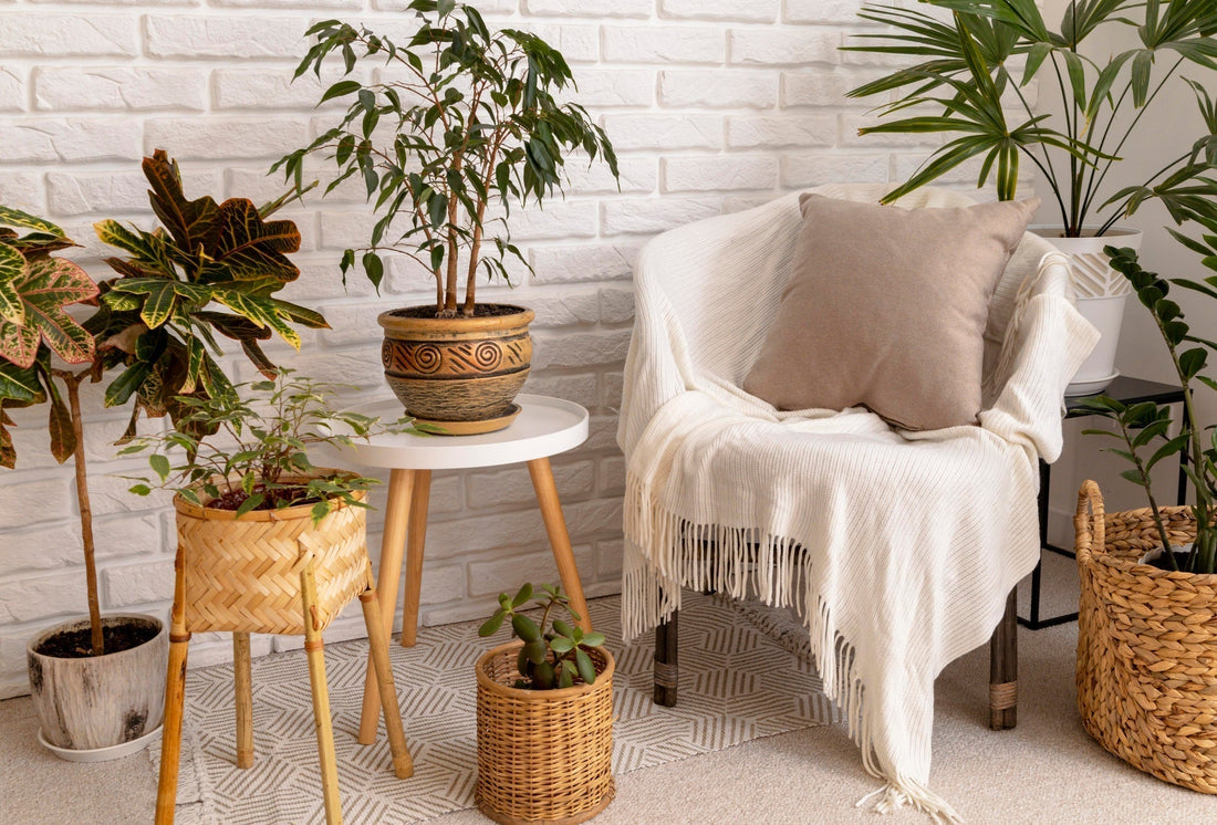 How to Incorporate Natural Elements into Your Decor: Tips and Inspirations