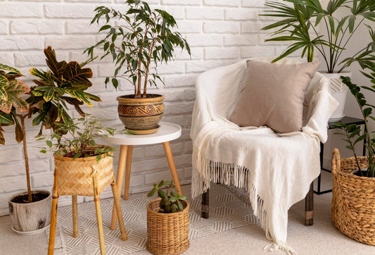 How to Incorporate Natural Elements into Your Decor: Tips and Inspirations