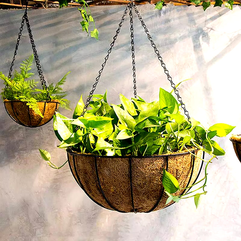 Jardinera Colgante con Revestimiento de Coco