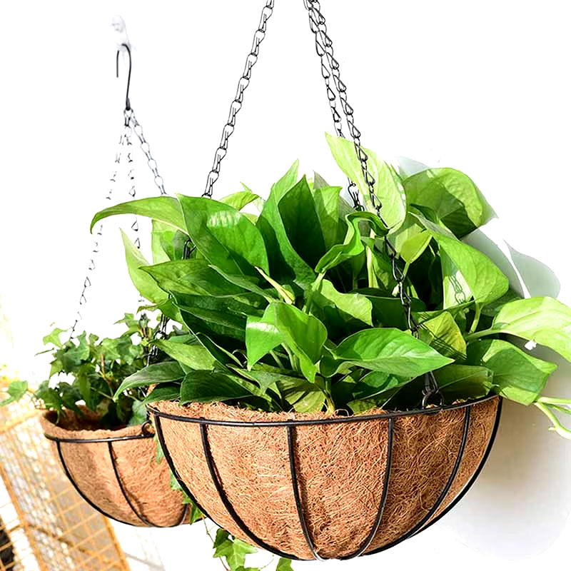 Jardinera Colgante con Revestimiento de Coco