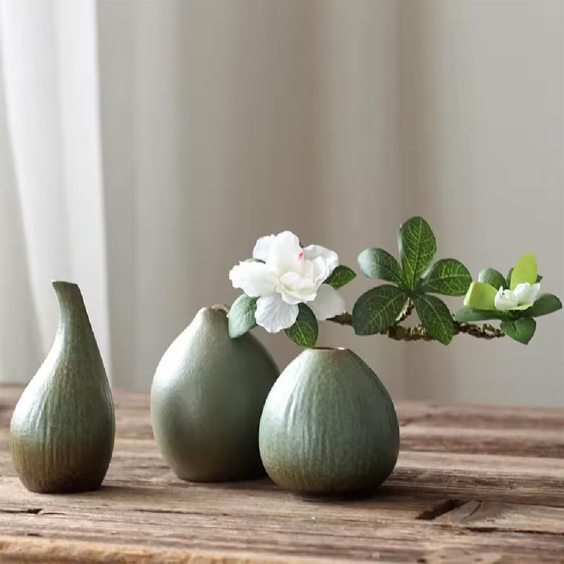 Elegant Ceramic Hydroponic Vase