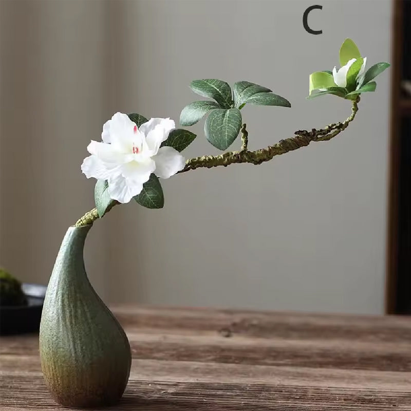 Elegant Ceramic Hydroponic Vase