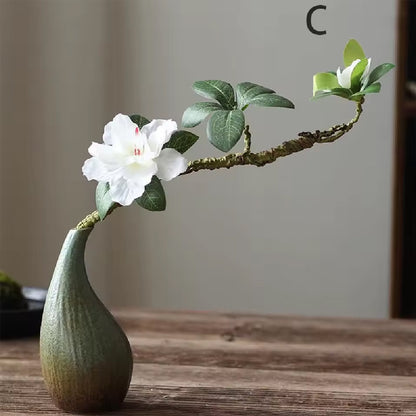 Elegant Ceramic Hydroponic Vase
