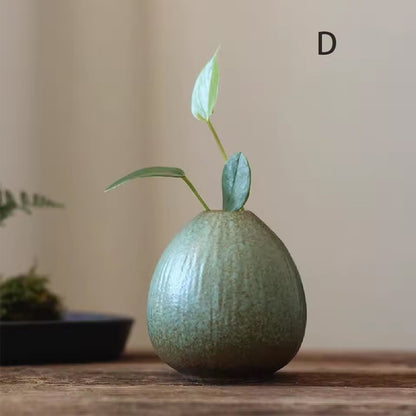 Elegant Ceramic Hydroponic Vase