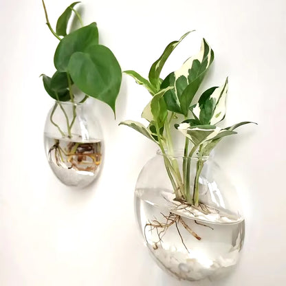 Glass Wall Plant Holder