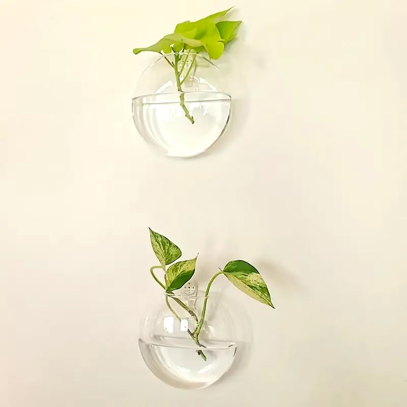 Glass Wall Plant Holder
