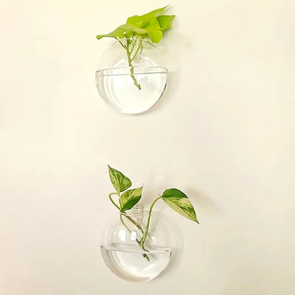Glass Wall Plant Holder